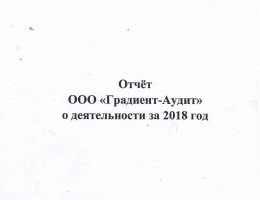 Отчет "ООО Градиент-Аудит" о деятельности  за 2018 год - Градиент-Аудит