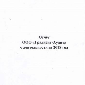 Отчет "ООО Градиент-Аудит" о деятельности  за 2018 год - Градиент-Аудит