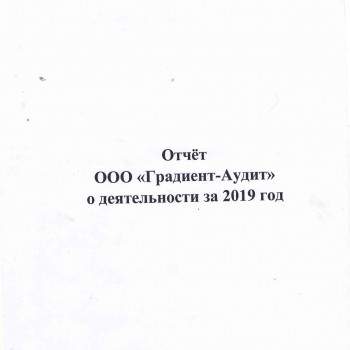 Отчет ООО Градиент-Аудит о деятельности  за 2019 год - Градиент-Аудит